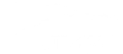 Nemsys logo
